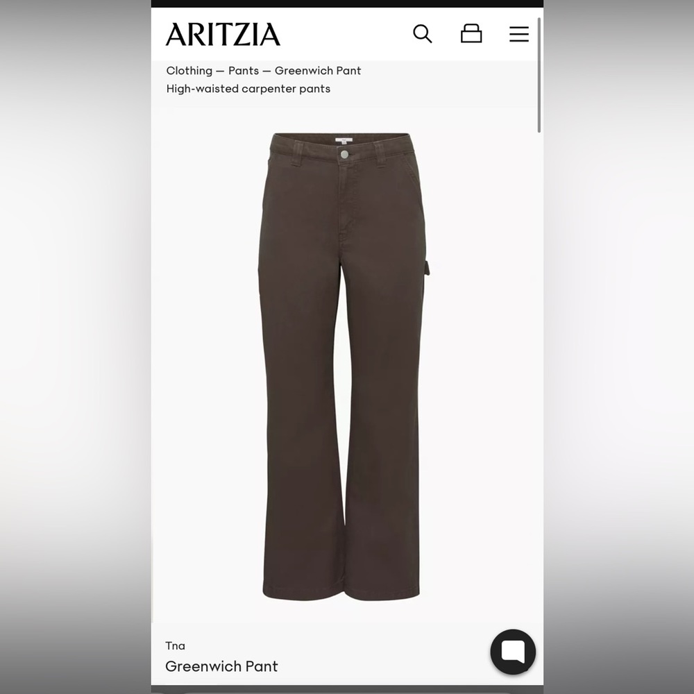 ariztia TNA carpenter pants